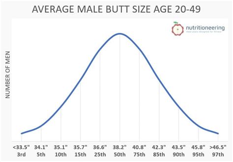 average booty size|Average Butt Size For Women and Men